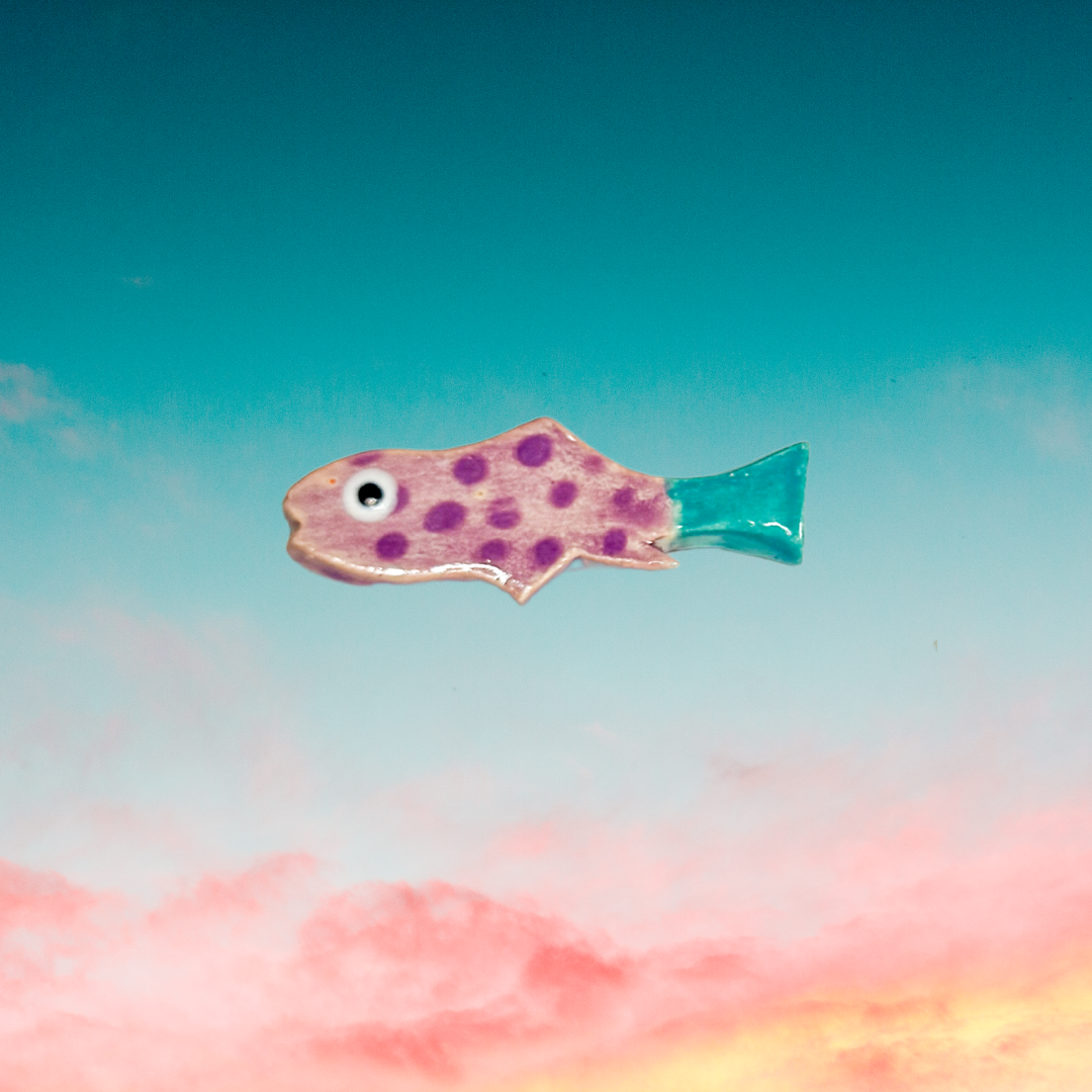 Fishy Brooch  𓆟